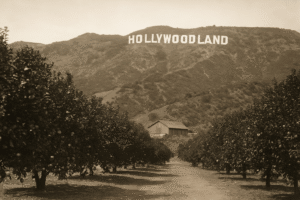 Early Hollywoodland with orange groves before becoming the movie capital